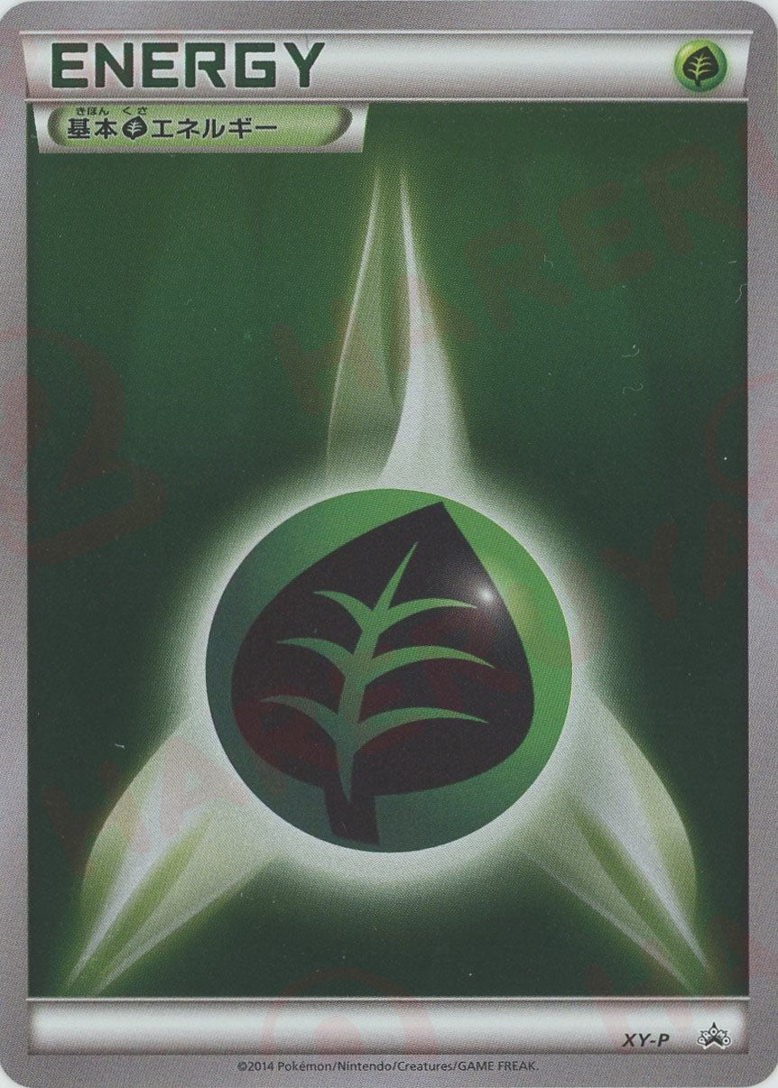 プロモーションカード「XY-P」 – 晴れる屋2