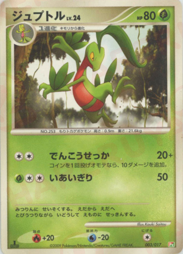 構築スタンダードデッキ「アルセウスLV.X 草&炎」 – 晴れる屋2