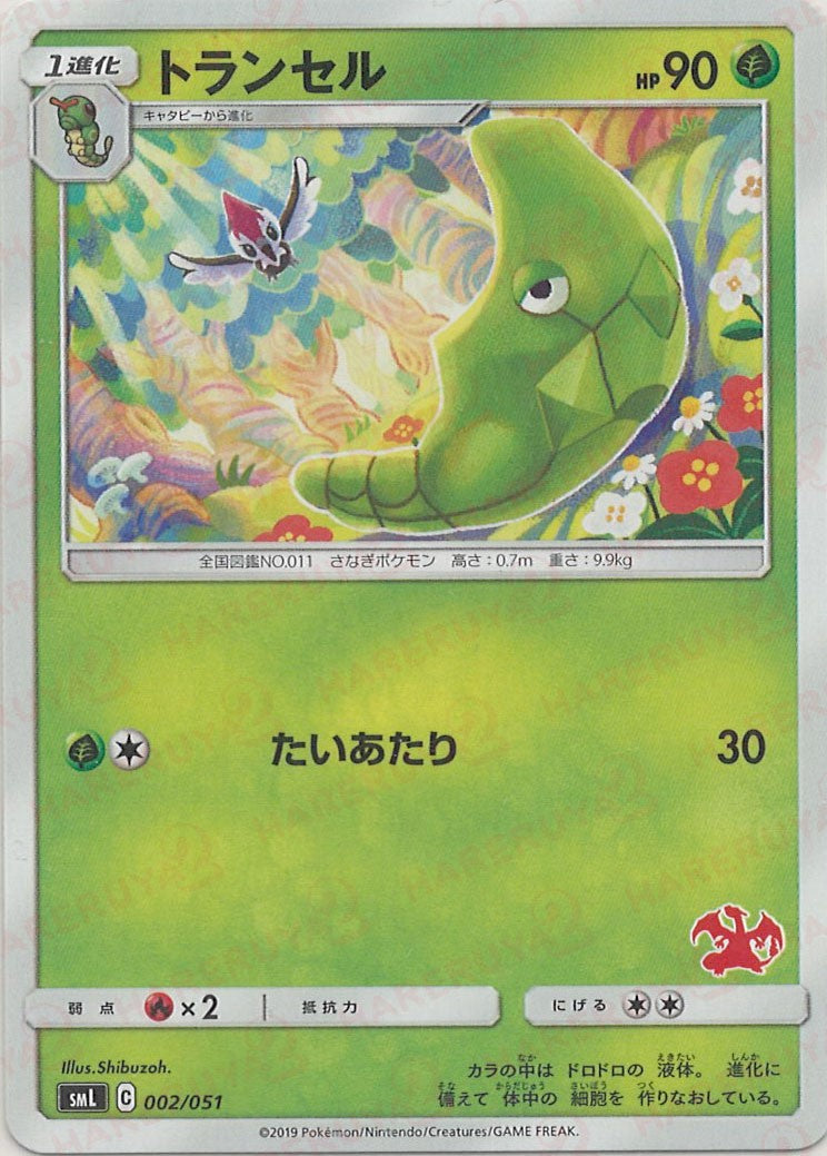 ファミリーポケモンカードゲーム – 晴れる屋2