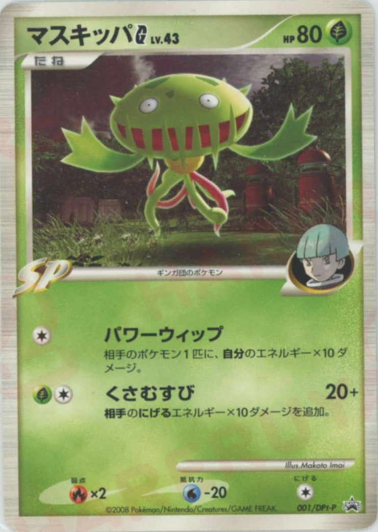 プロモーションカード「DPt-P」 – 晴れる屋2