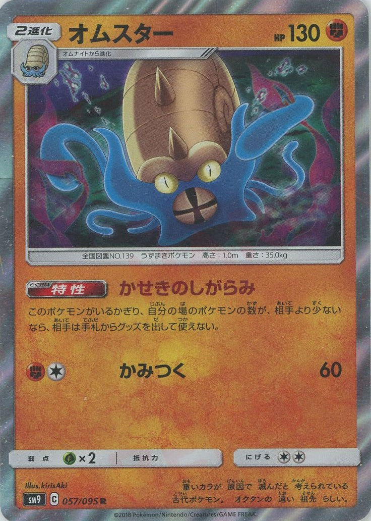 化石特集 – 晴れる屋2