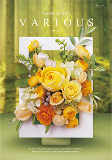 カタログギフトのハーモニック ヴァリアス ボストン