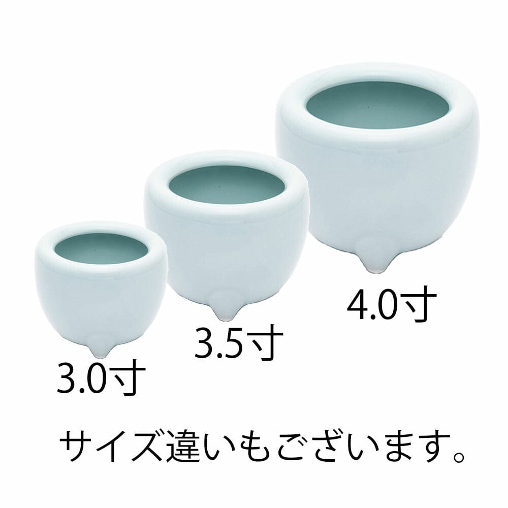 4534552500160g11.jpg?v=1647422429