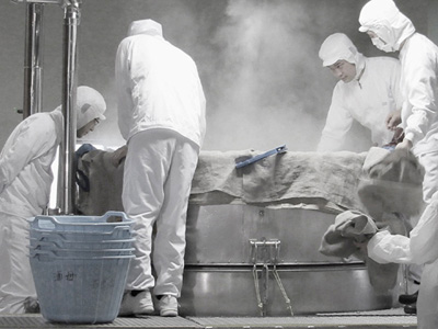 白鶴 Alternative 純米大吟醸 白鶴錦 / はせがわ酒店 オンライン店