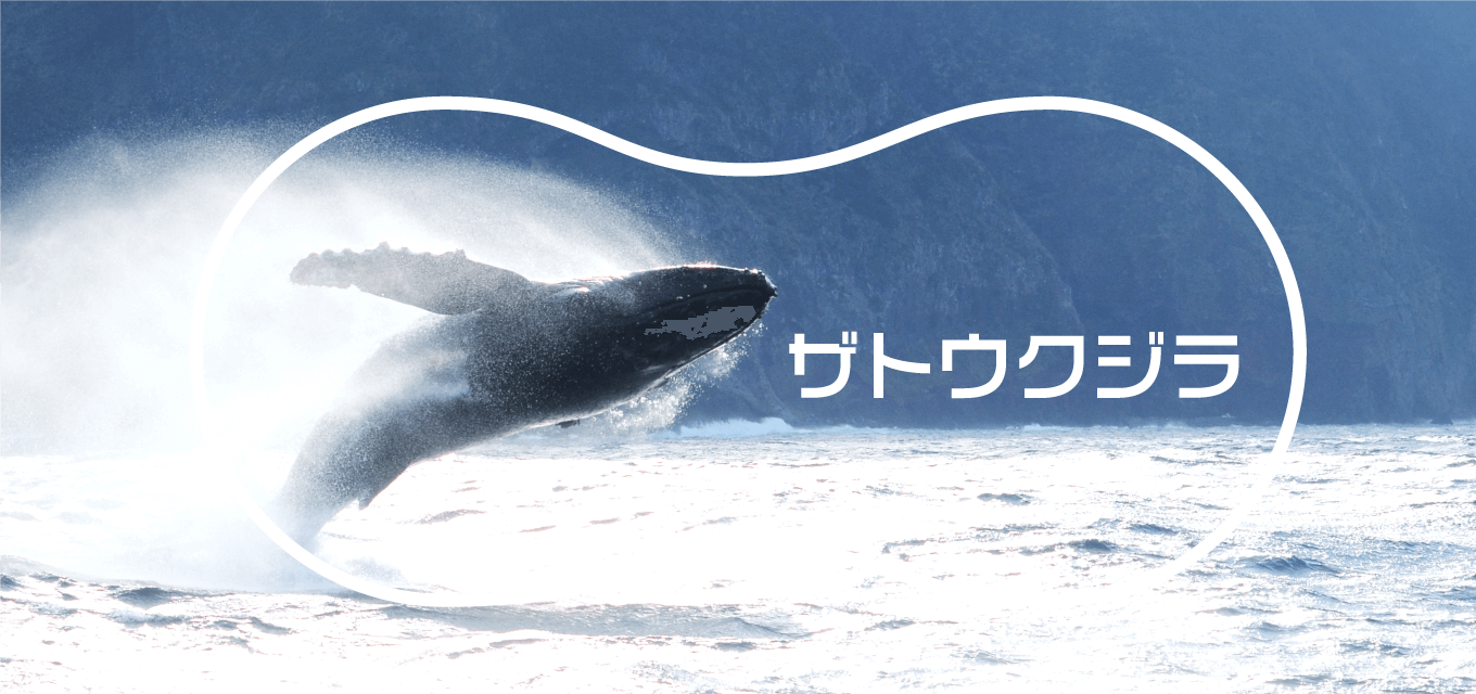 八丈島ホエールウォッチング