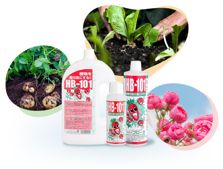 野菜作りや園芸に。プロご用達「HB-101」 - HB-101 フローラ公式通販サイト