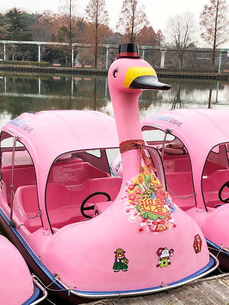 ピンクスワンボートのお正月バージョン♪｜オフィシャルブログ｜東山動