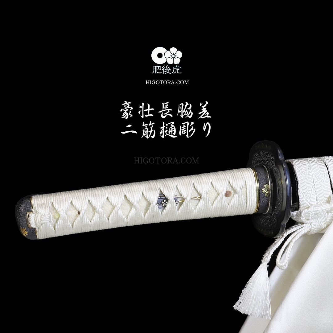 超豪壮二筋樋彫り脇差1尺9寸TTR｜製作事例｜肥後虎-HIGOTORA