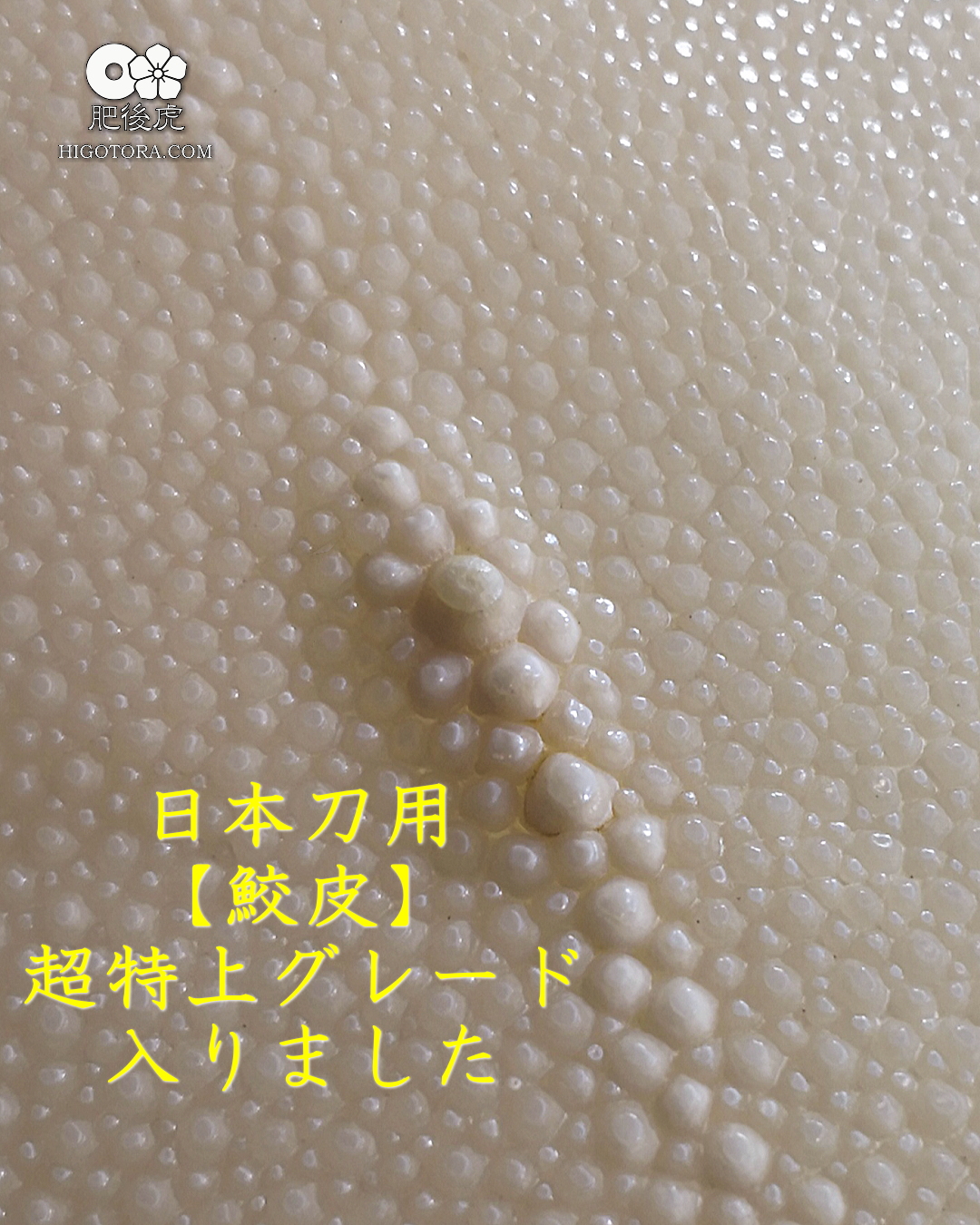 日本刀用【鮫皮】”超特上”グレード入りました｜肥後虎ブログ｜肥後虎