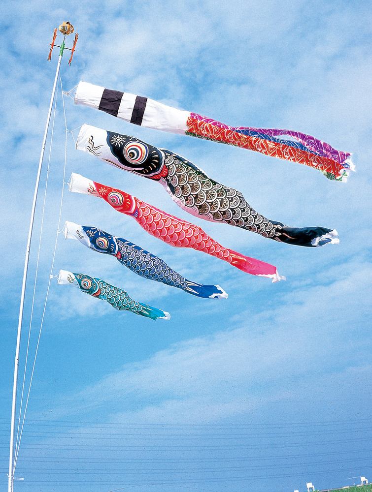 鯉のぼり　金吹雪鯉　5mセット　使用品　こいのぼり 5m黄金鯉黄金龍吹流し6点セット（ポールなし）が安い フジサン鯉のぼり