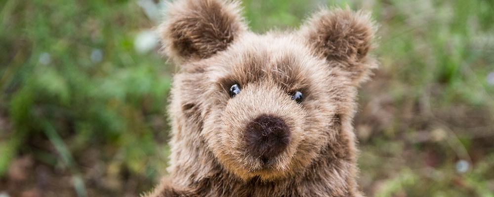 3105 ソフトブラウンベア（小）：おもちゃ：百町森