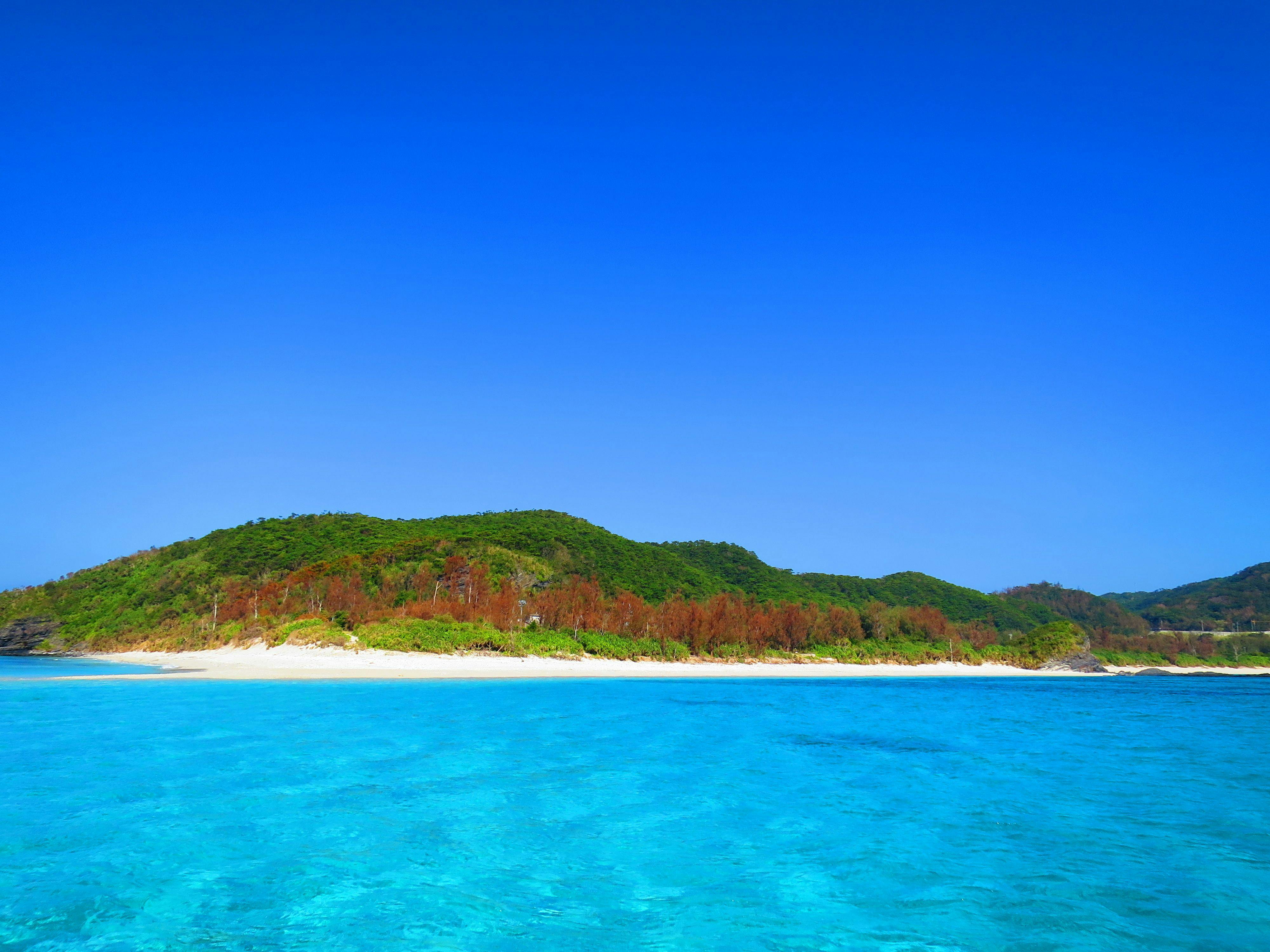 2026年】座間味で人気の観光・お出かけスポット 16選 - Yahoo!トラベル