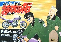 疾風伝説 特攻の拓 アオシマ文化教材社