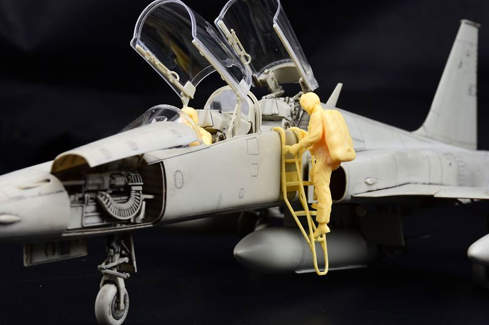 1/32 エアモデル F-5F タイガー 2 KITTY HAWK (キティホーク)