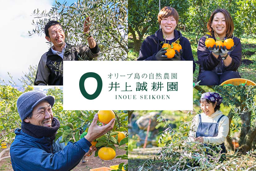 オリーブオイルを小豆島の自然農園「井上誠耕園」よりお届けします