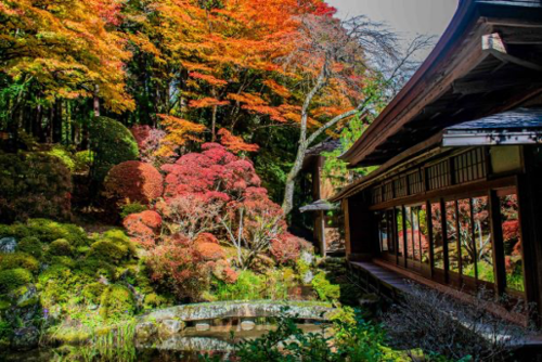 紅葉 | 長野伊那谷観光局