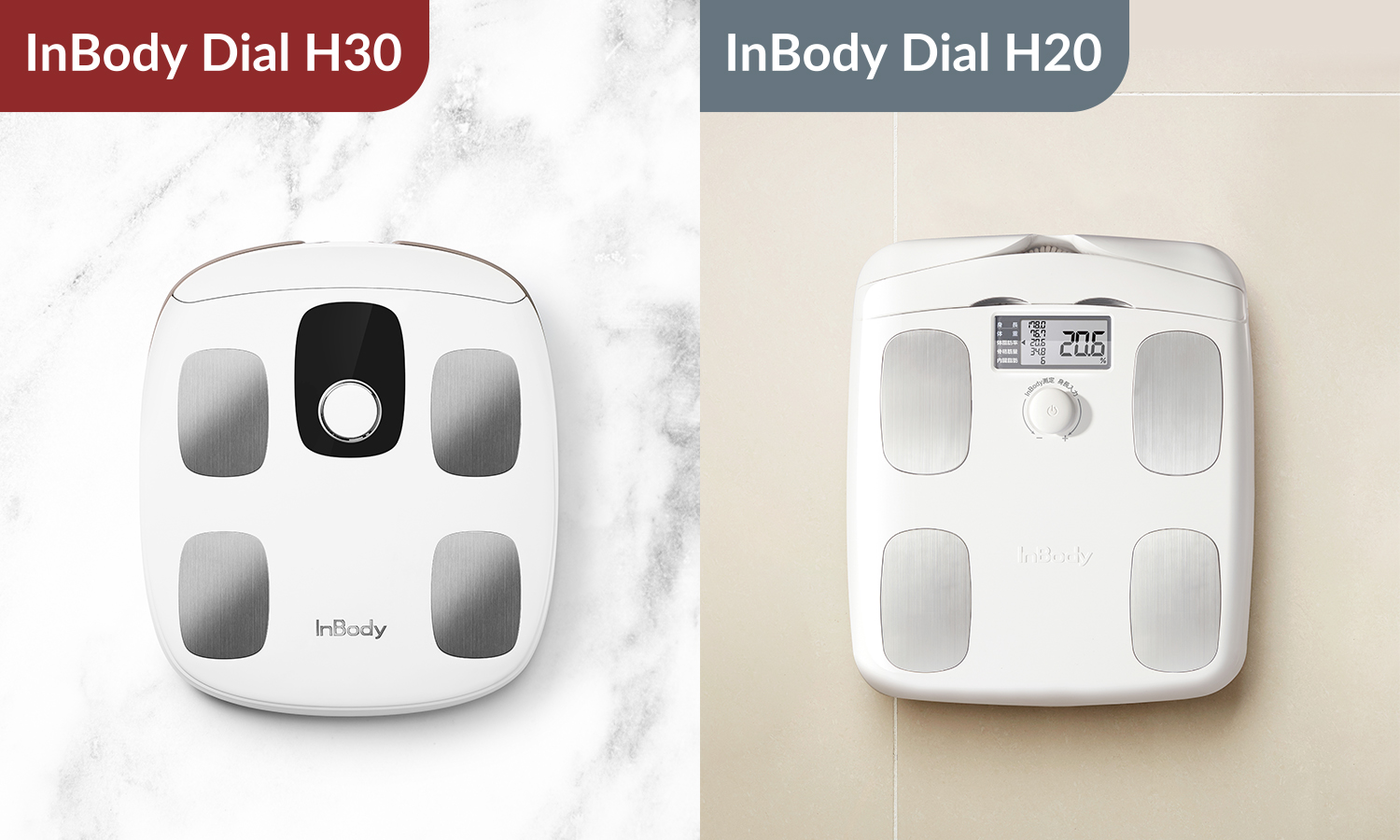 公式】体成分分析装置InBody | インボディ