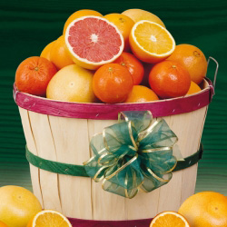 Florida Citrus Favorites Archives | Indian River Fruit