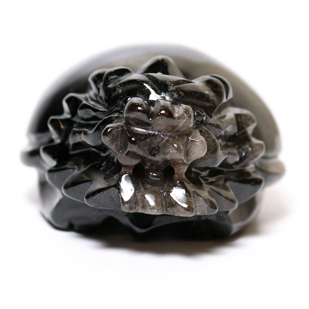 中国/山東省産]モリオン彫刻/天然黒水晶（龍亀/ロングイ） - 埼玉県