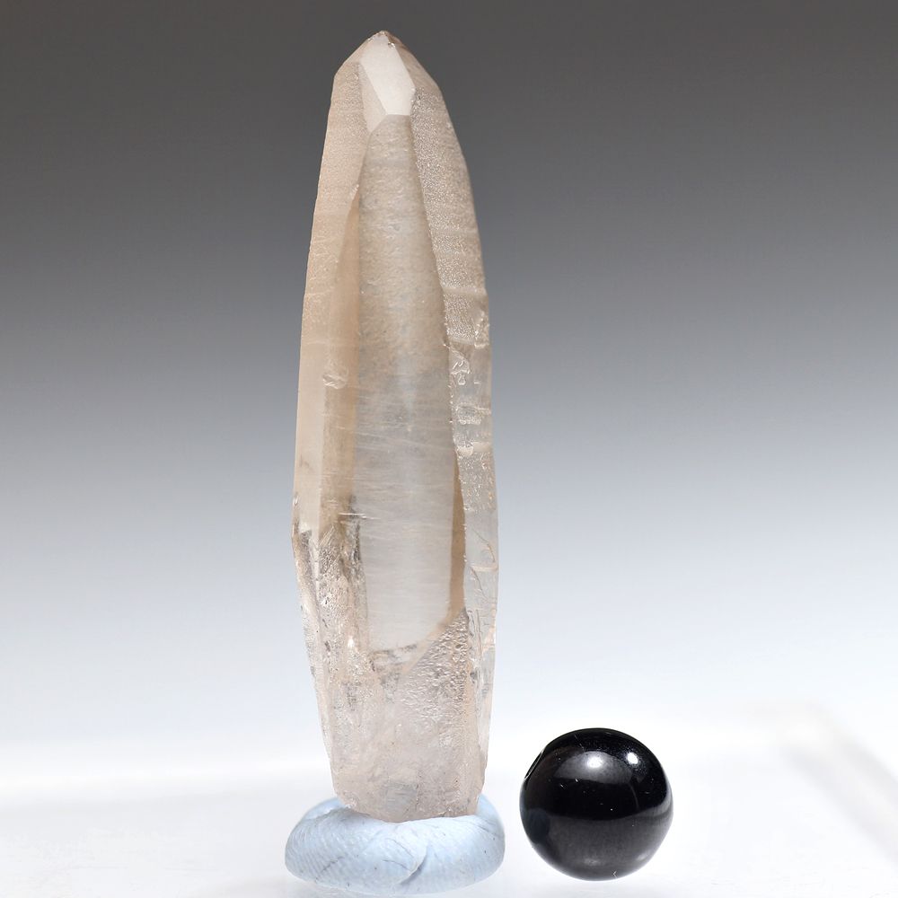 トップクォリティ・ブラジル/セーラデカブラル産]レムリアンシード