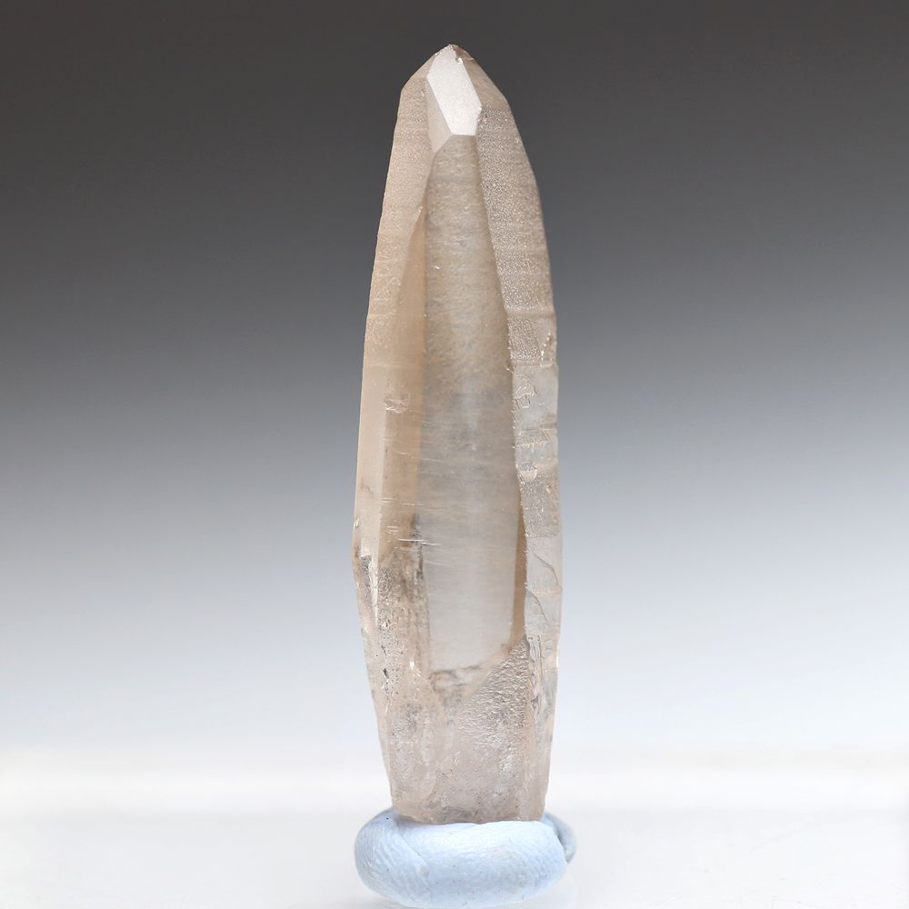 トップクォリティ・ブラジル/セーラデカブラル産]レムリアンシード