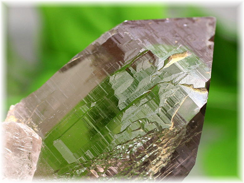 ガネッシュヒマール産]ヒマラヤスモーキークォーツ原石ナチュラル