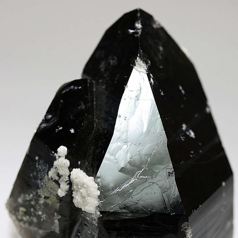 山東省産]フラワーカルサイトオンモリオン原石（天然黒水晶ナチュラル