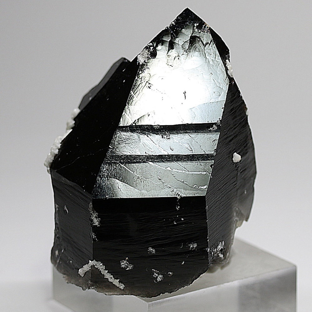 山東省産]フラワーカルサイトオンモリオン原石（天然黒水晶ナチュラル