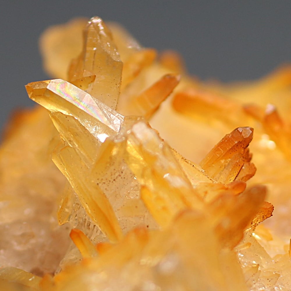 インド/マニカラン産ヒマラヤ水晶ゴールデンヒーラークラスター