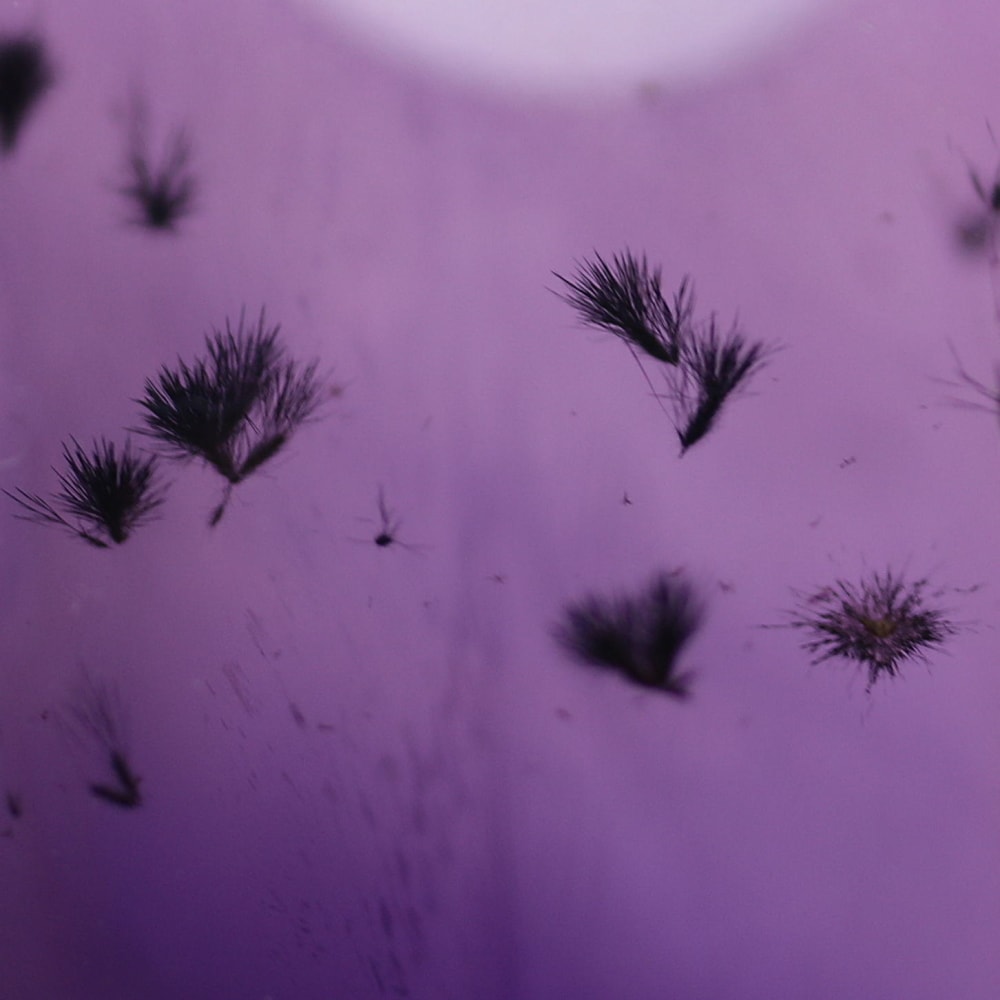 高品質]ロマネサイトインアメジスト丸玉/スフィア（直径43.8mm