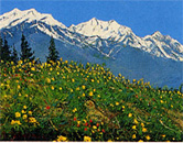 一枚の繪 －第23回 大町絵画展