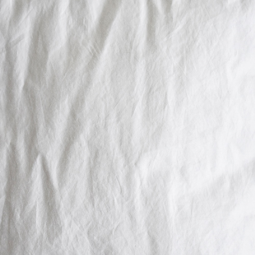 羽毛布団「ホーリー2 肌掛け」ポーランド産ホワイトグースダウン95% 全