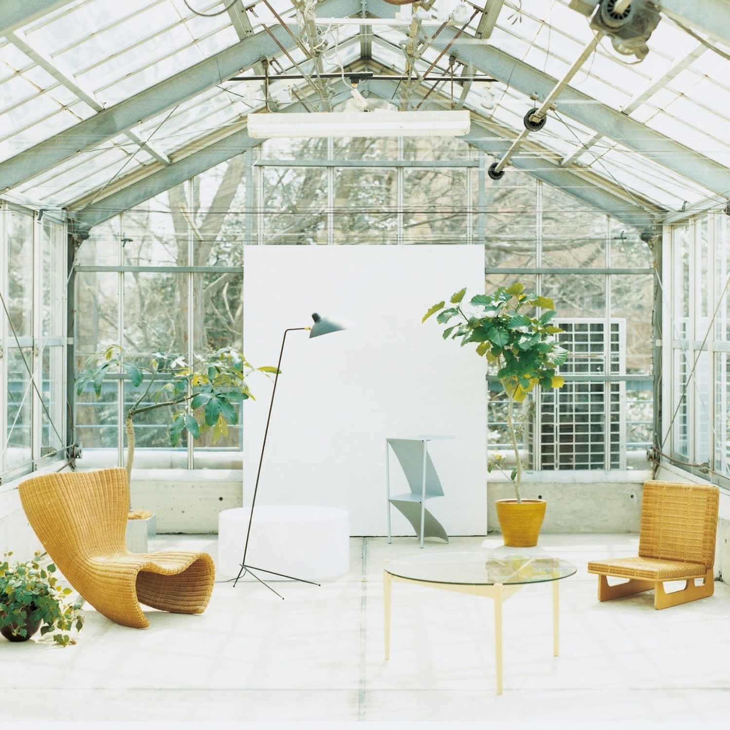 TOU ZA ISU｜チェア一覧｜IDEE SHOP Online