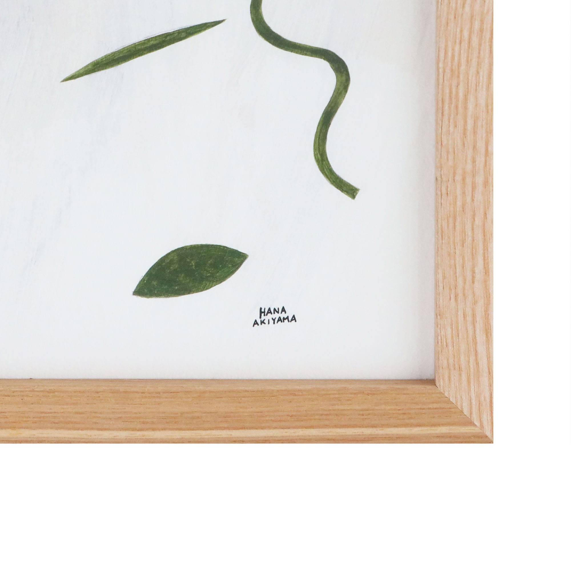在庫限り】【定番品】 秋山花 「A green letter」｜これまでに販売した