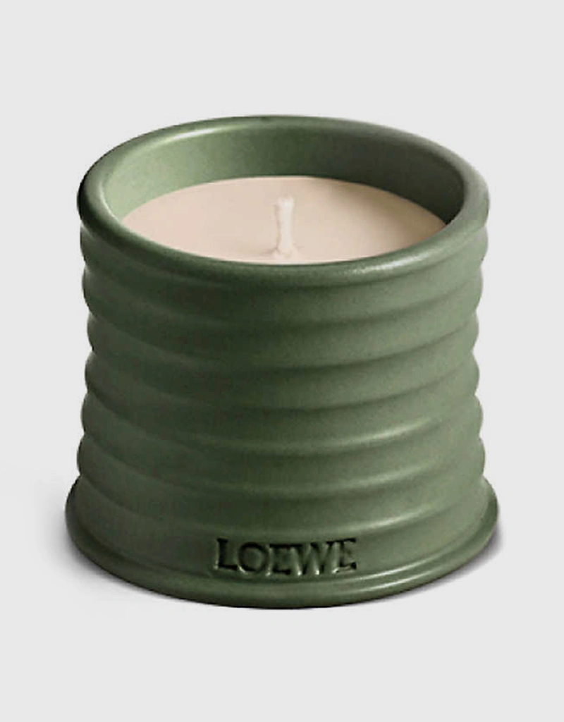 2518873-large.webp?w=3840