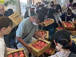 くだものはおまかせ「もなりん」桃シーズン盛況 | 県内JAの話題 | JA