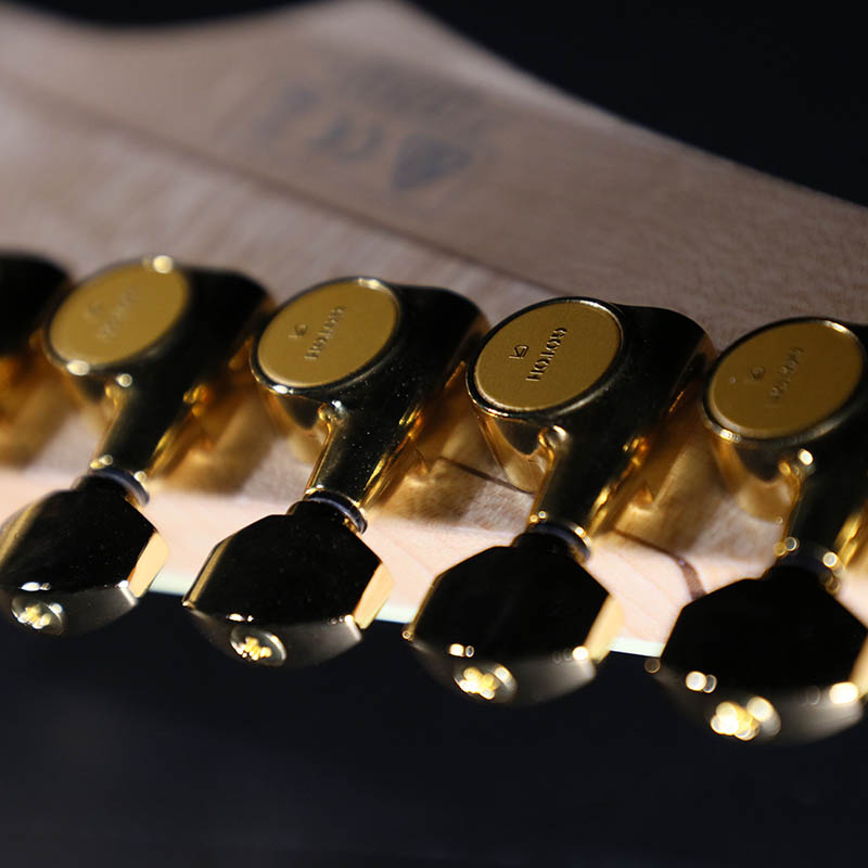 Ibanez（アイバニーズ）の2018楽器フェア出展記念特別企画 ”GOLD