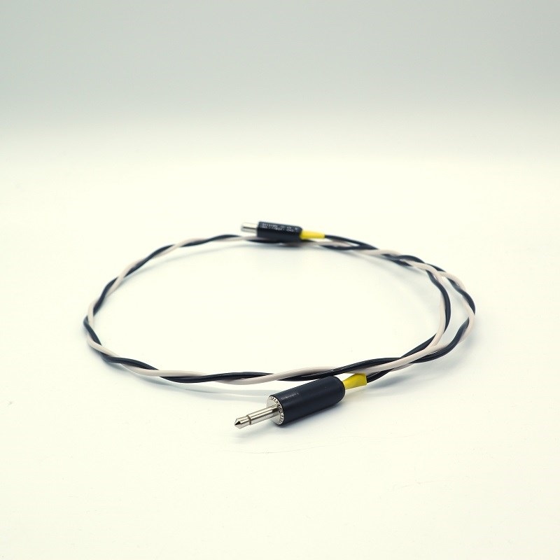 マキノ工房】KLON / Centaur Gold ロングテイルの初期バージョンが持つ