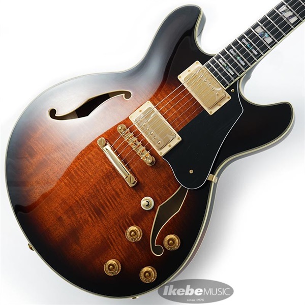 Ibanez JSM100-VT [John Scofield Signature Model] ｜イケベ楽器店