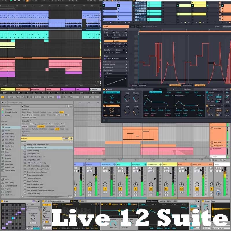 ableton Live 12 Suite (代引不可)(オンライン納品) ｜イケベ楽器店