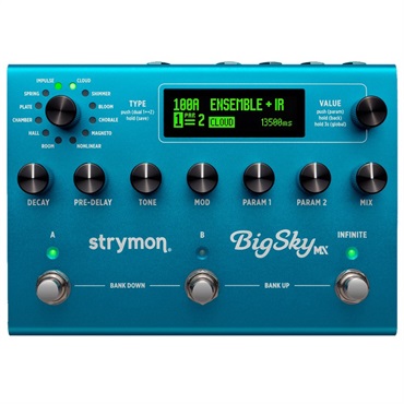 strymon 【WEB限定在庫処分セール】 Time Line【Multi Delay
