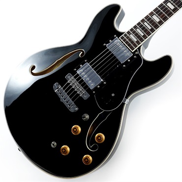 Aria ProII TA-200 BK (Black) ｜イケベ楽器店オンラインストア