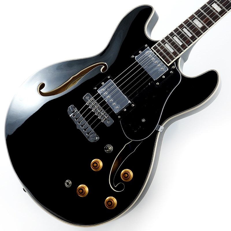 Aria ProII TA-200 BK (Black) ｜イケベ楽器店オンラインストア