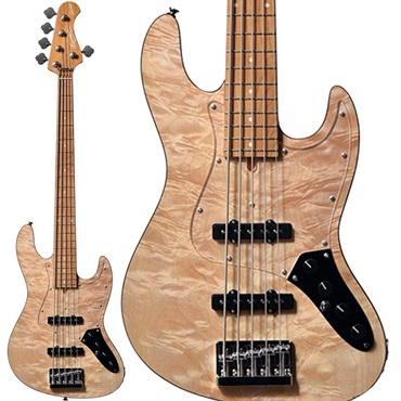 エレキギター ストラトキャスター・STタイプ Bacchus GLOBAL SERIES