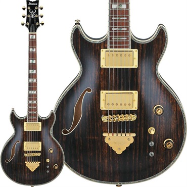 アコースティック・エレアコギター Ibanez 商品一覧｜イケベ楽器店