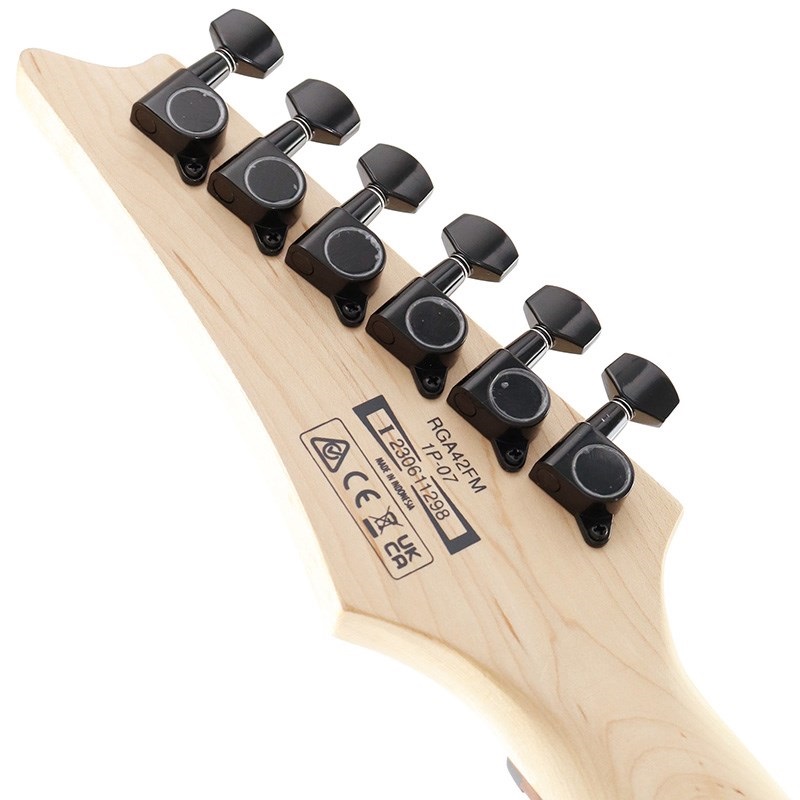 Ibanez RGA42FM-BLF (Blue Lagoon Burst Flat) ｜イケベ楽器店