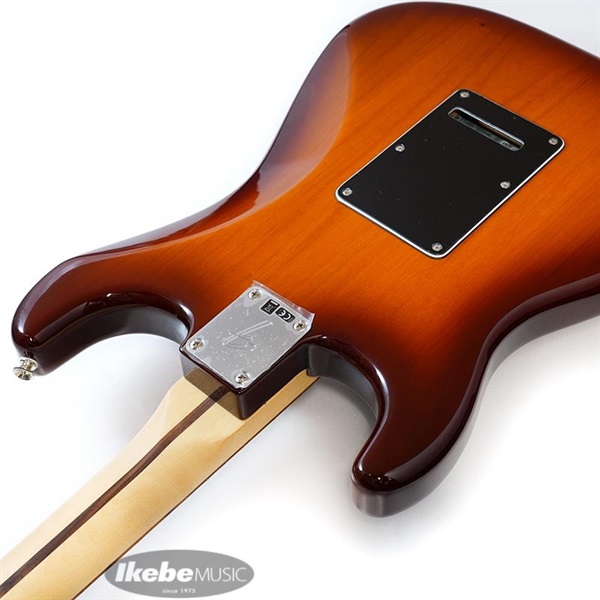 Fender MEX Player Stratocaster Plus Top (Tobacco Sunburst/Pau