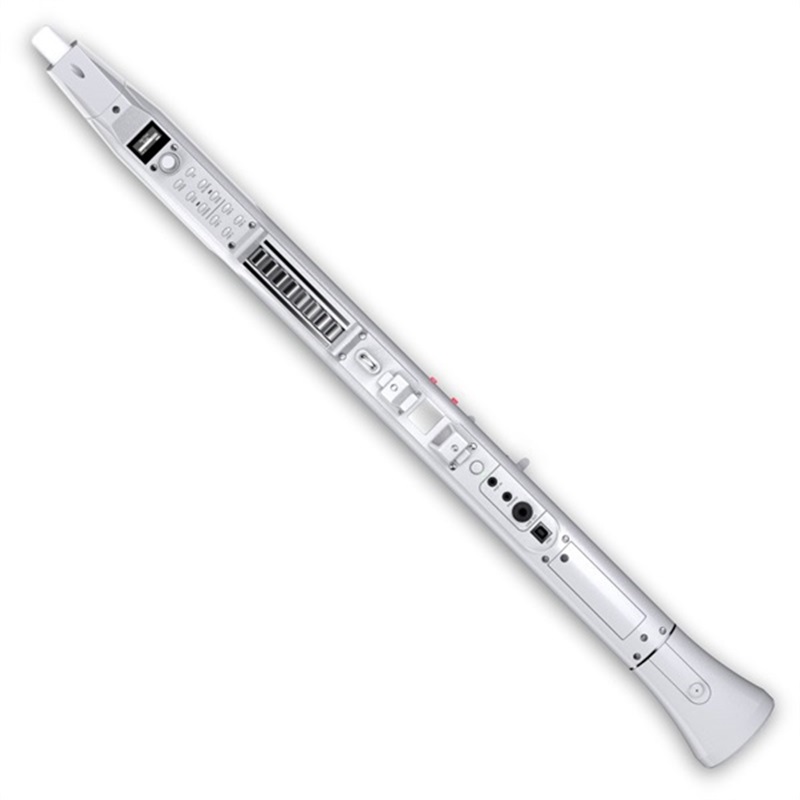 AKAI アカイプロフェッショナル ウインドシンセサイザー EWI SOLO