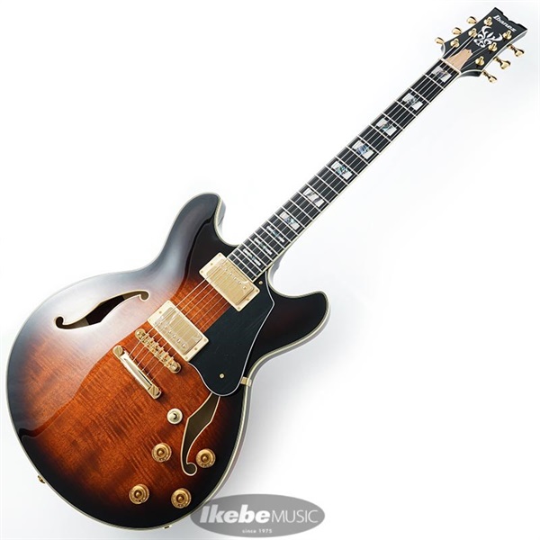 Ibanez JSM100-VT [John Scofield Signature Model] ｜イケベ楽器店