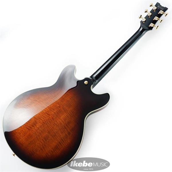 Ibanez JSM100-VT [John Scofield Signature Model] ｜イケベ楽器店